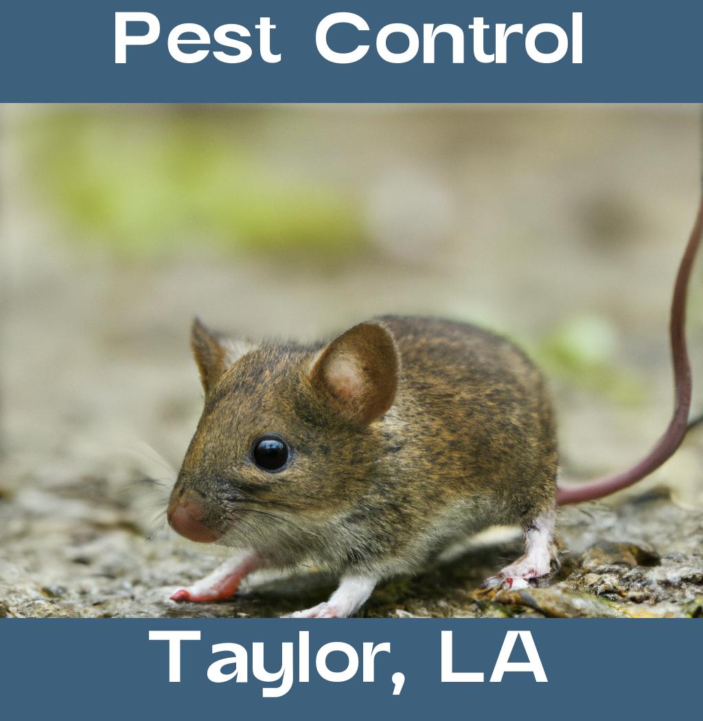 pest control in Taylor Louisiana
