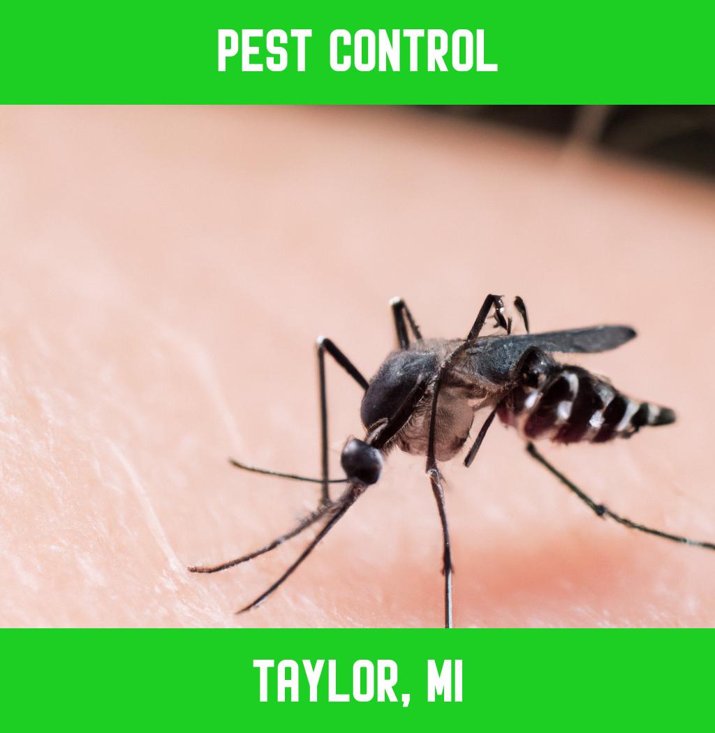 pest control in Taylor Michigan