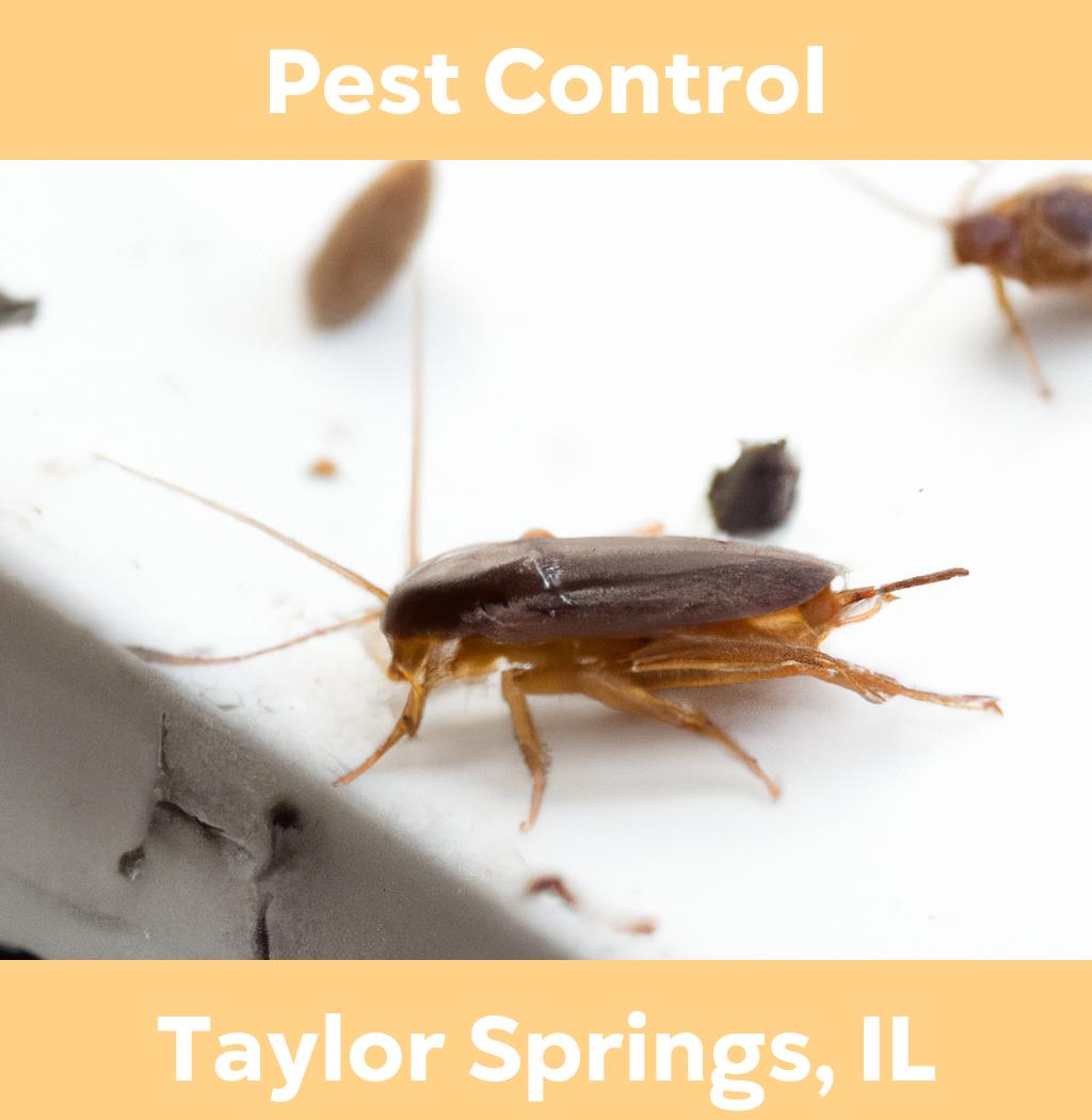 pest control in Taylor Springs Illinois