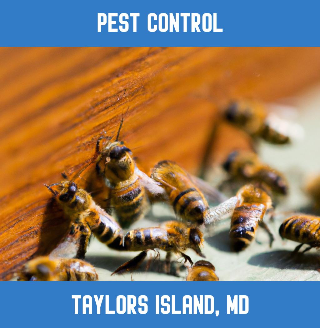 pest control in Taylors Island Maryland