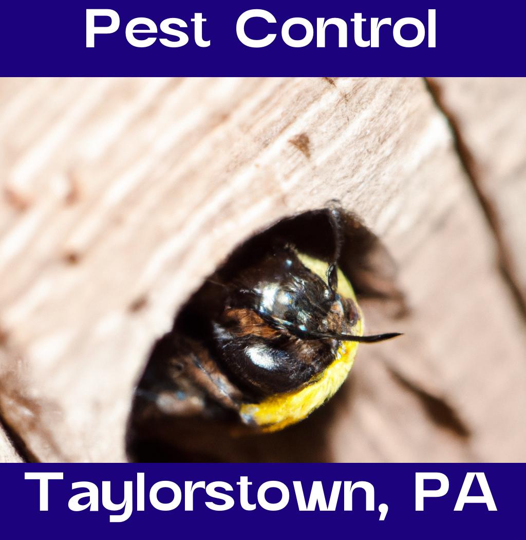 pest control in Taylorstown Pennsylvania