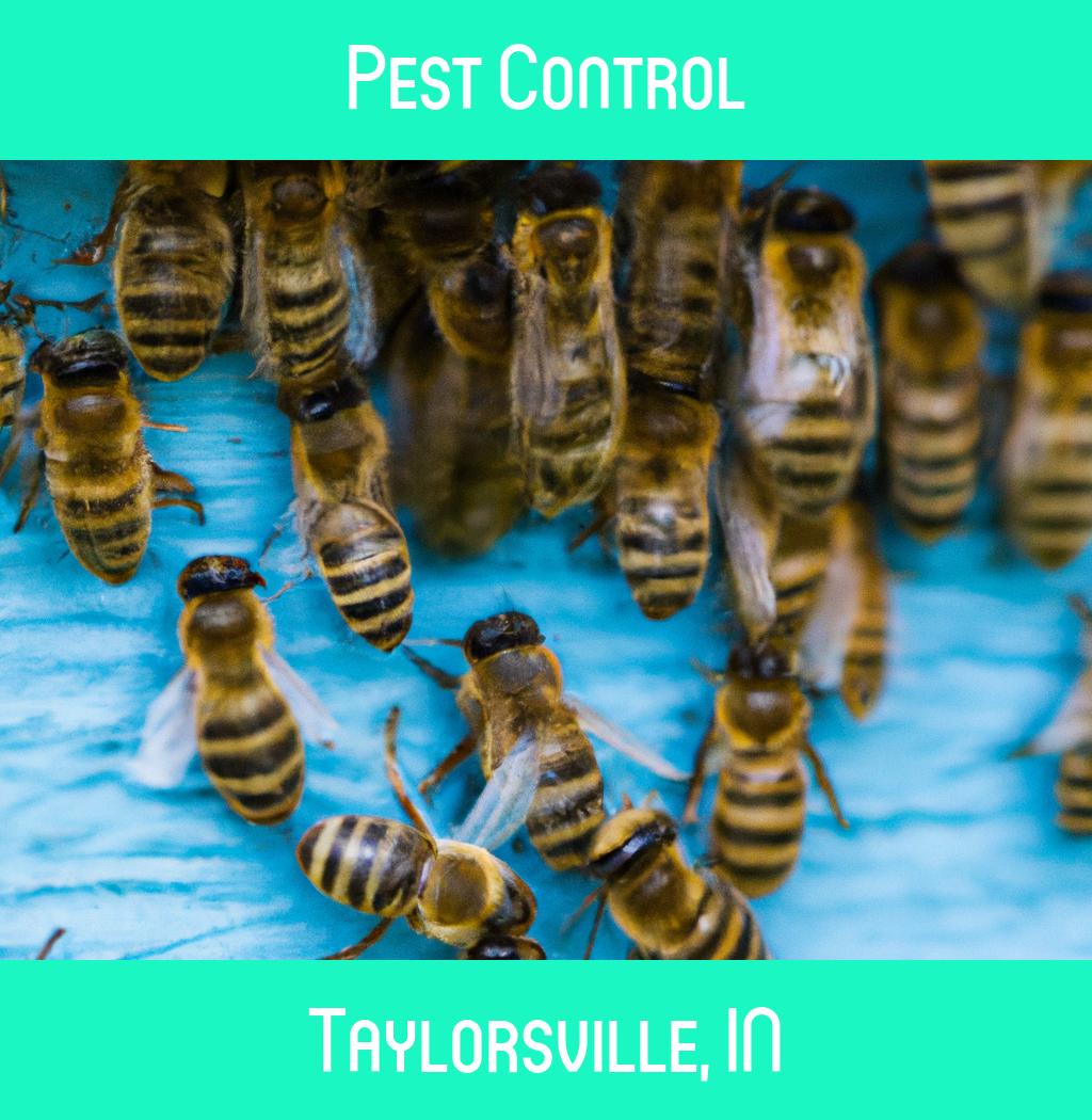 pest control in Taylorsville Indiana
