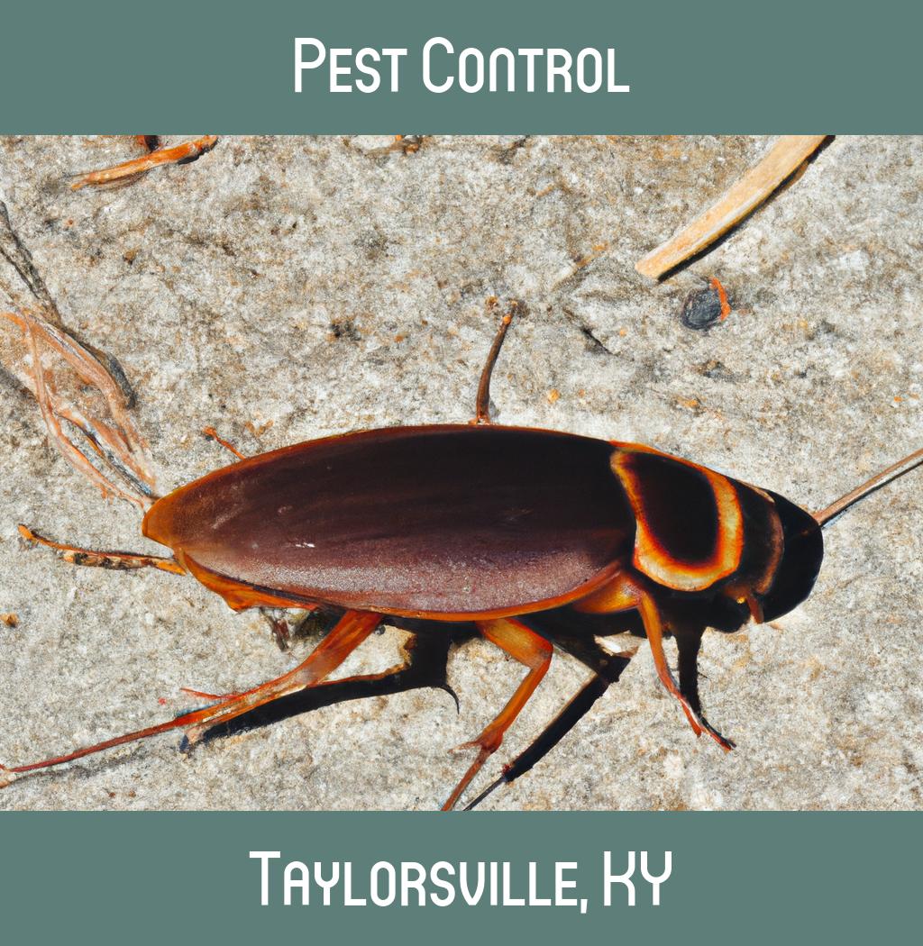 pest control in Taylorsville Kentucky