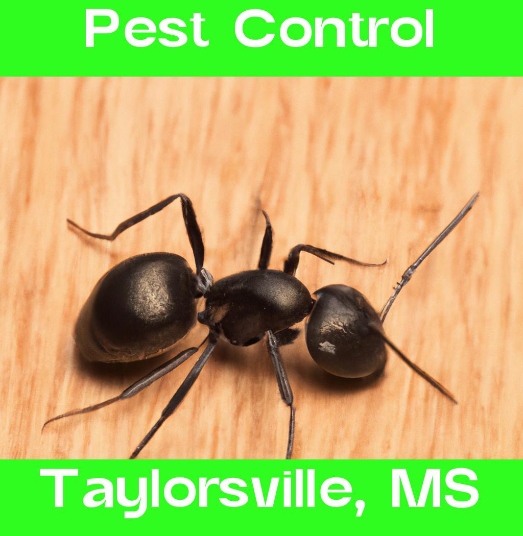 pest control in Taylorsville Mississippi