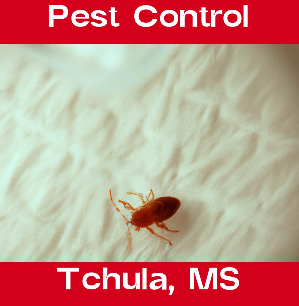 pest control in Tchula Mississippi
