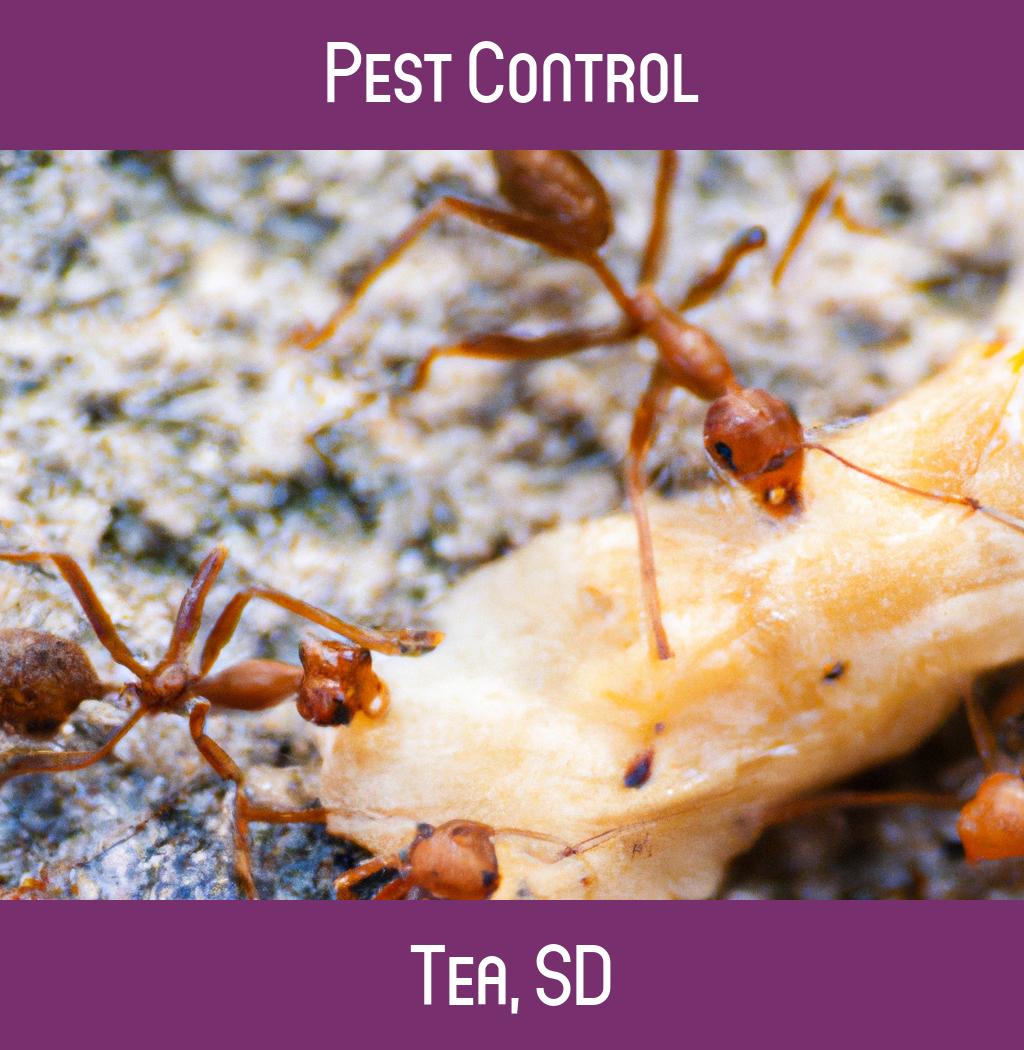 pest control in Tea South Dakota