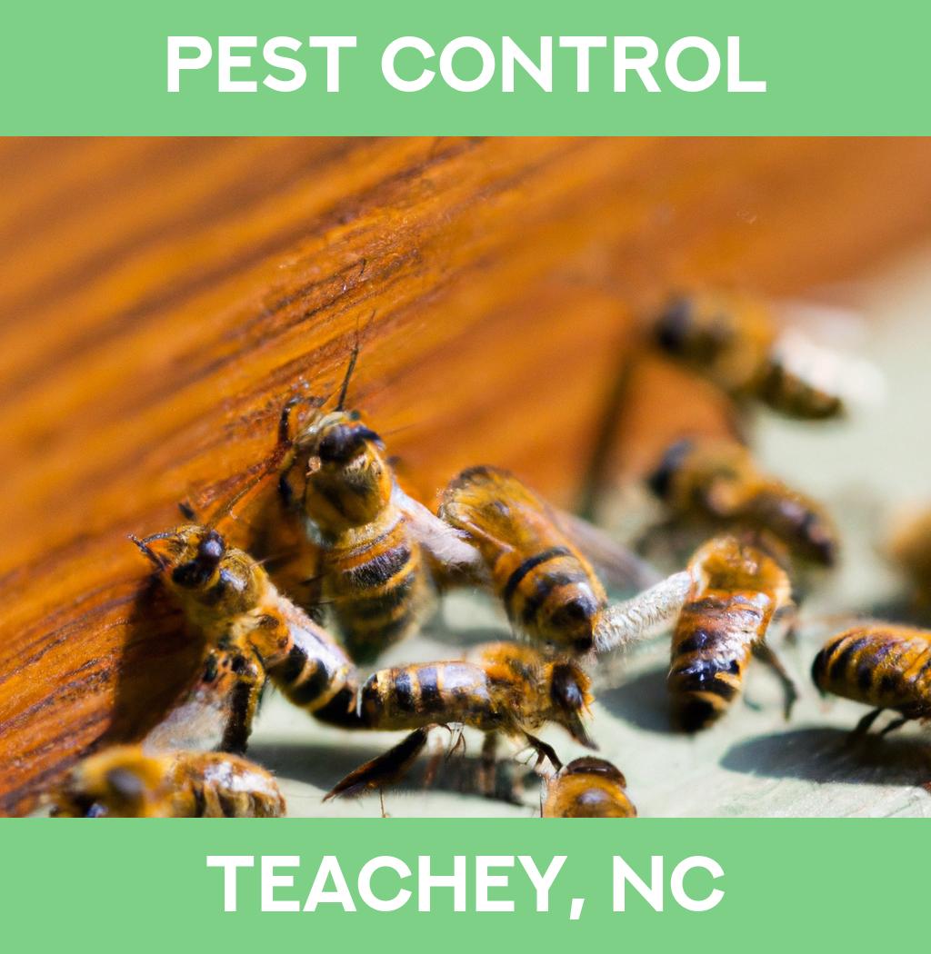 pest control in Teachey North Carolina