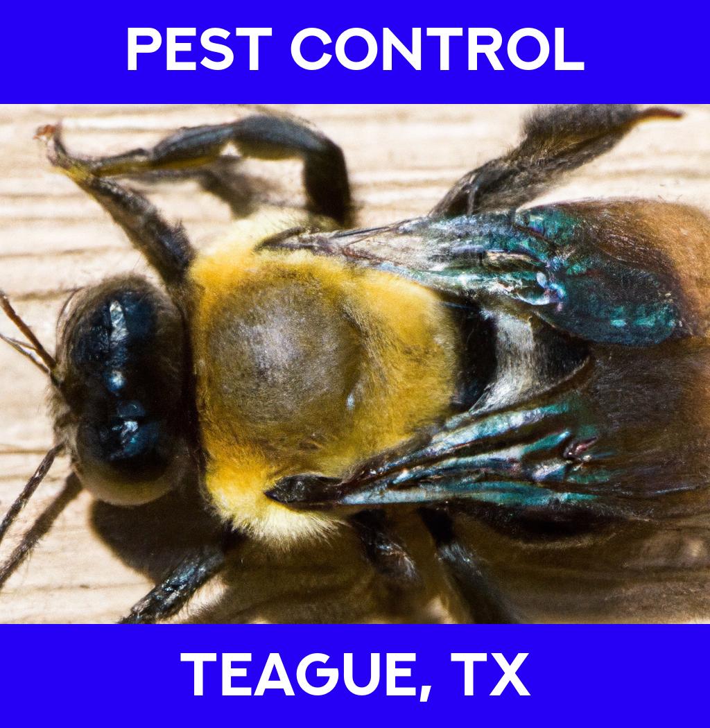 pest control in Teague Texas