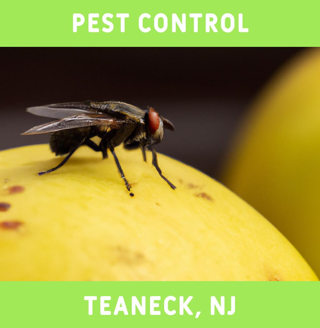pest control in Teaneck New Jersey