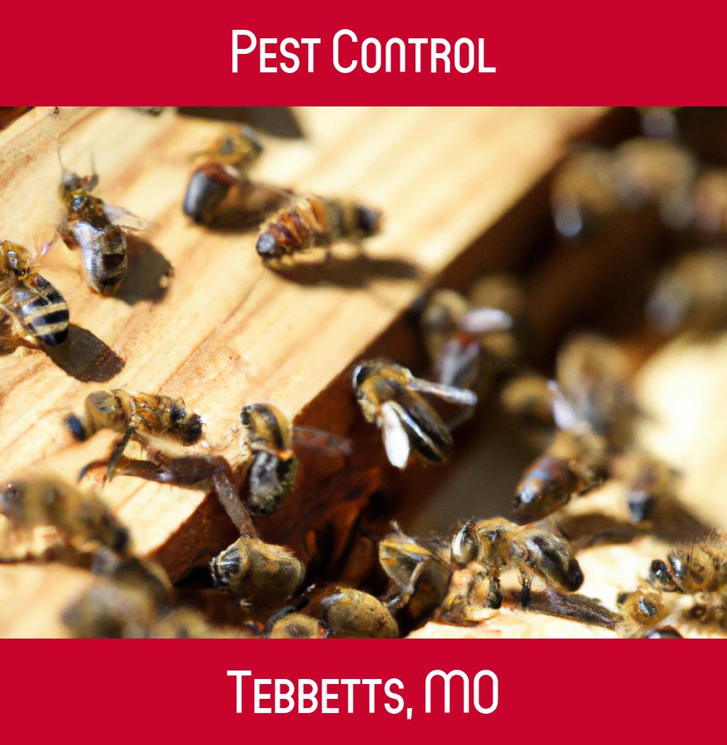 pest control in Tebbetts Missouri