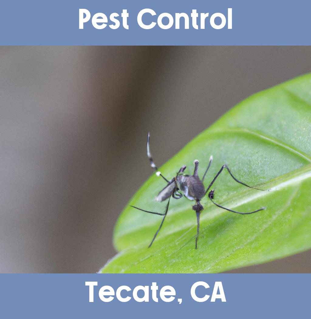 pest control in Tecate California