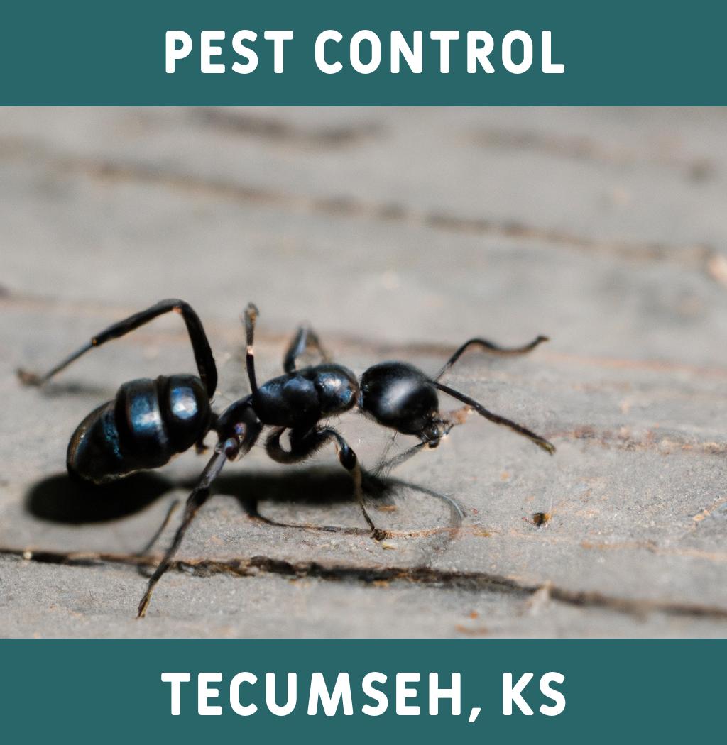 pest control in Tecumseh Kansas