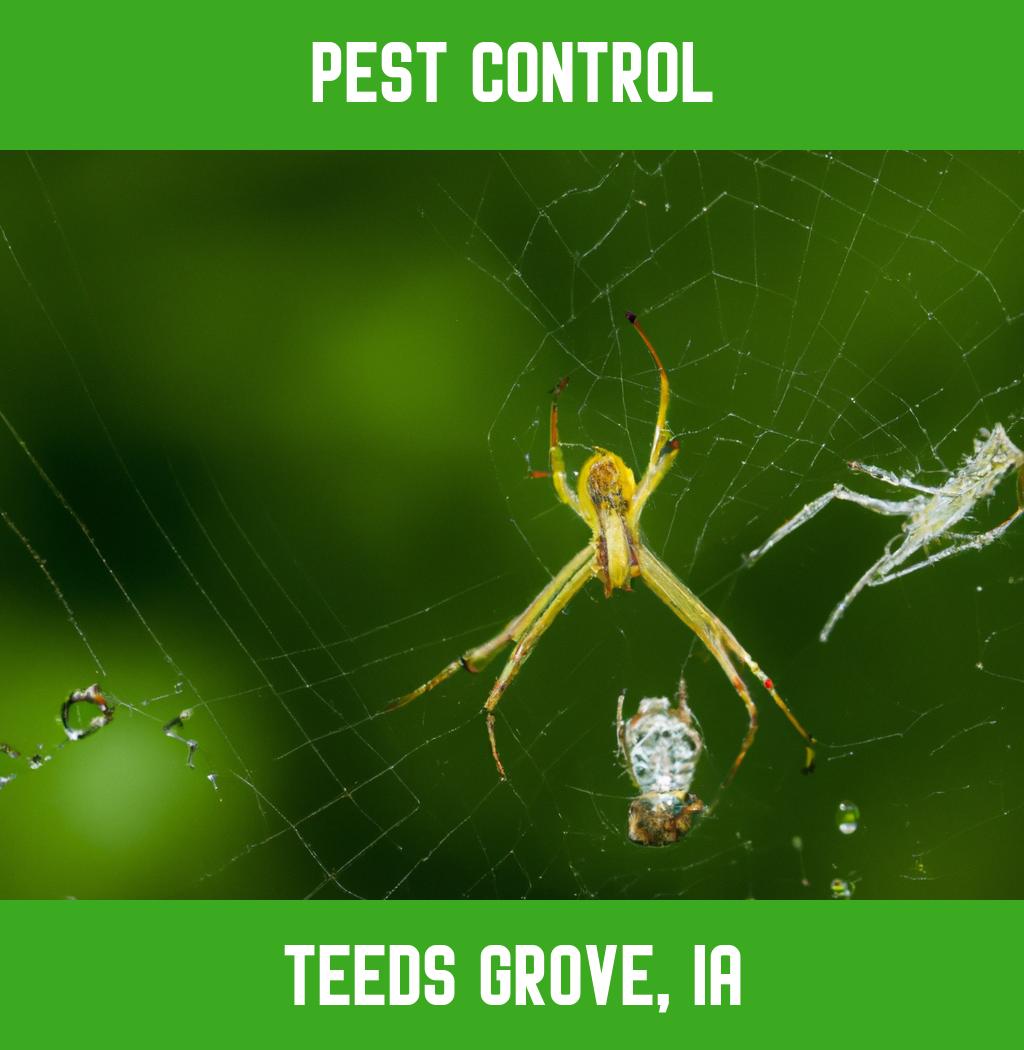 pest control in Teeds Grove Iowa