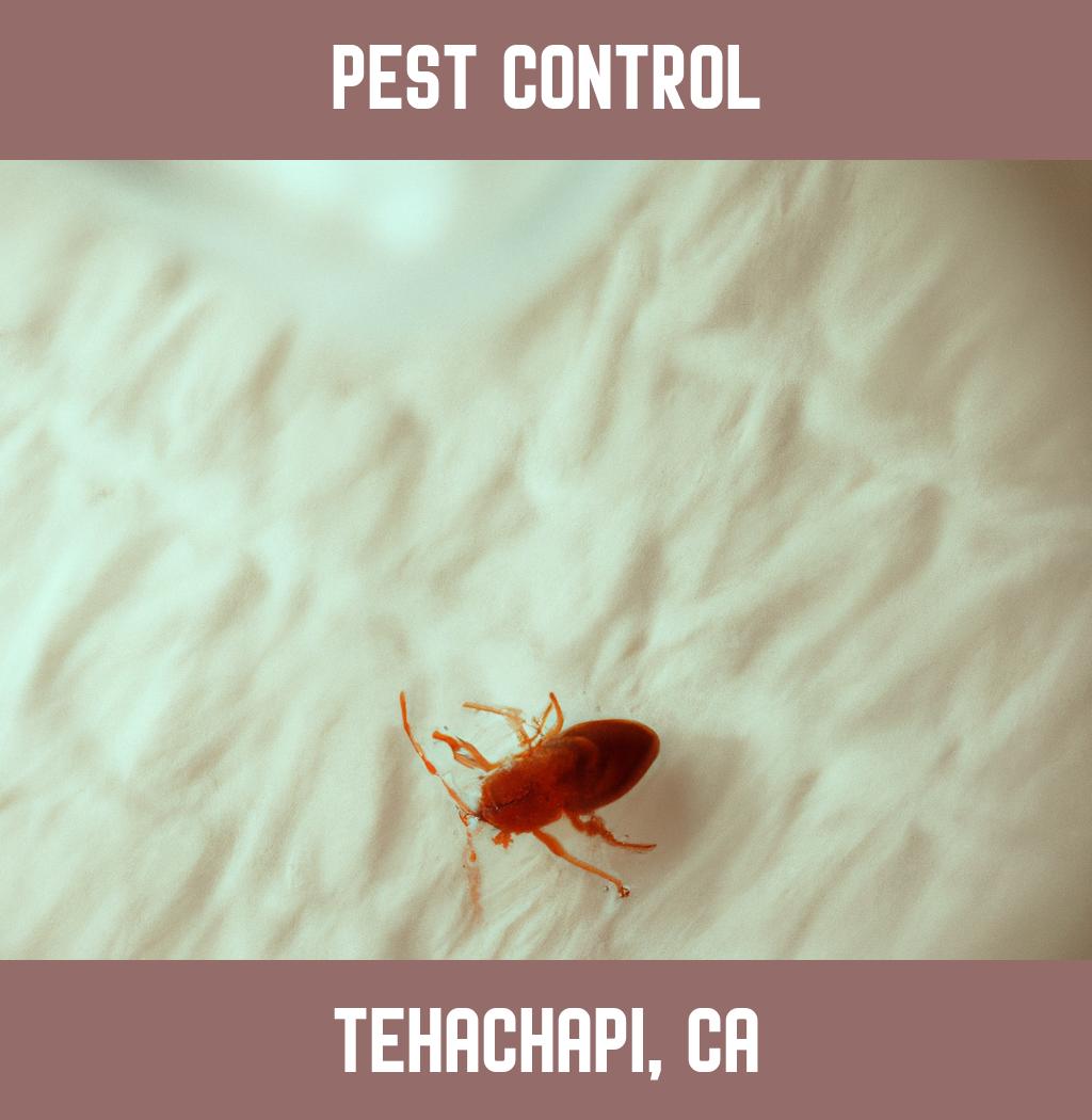 pest control in Tehachapi California