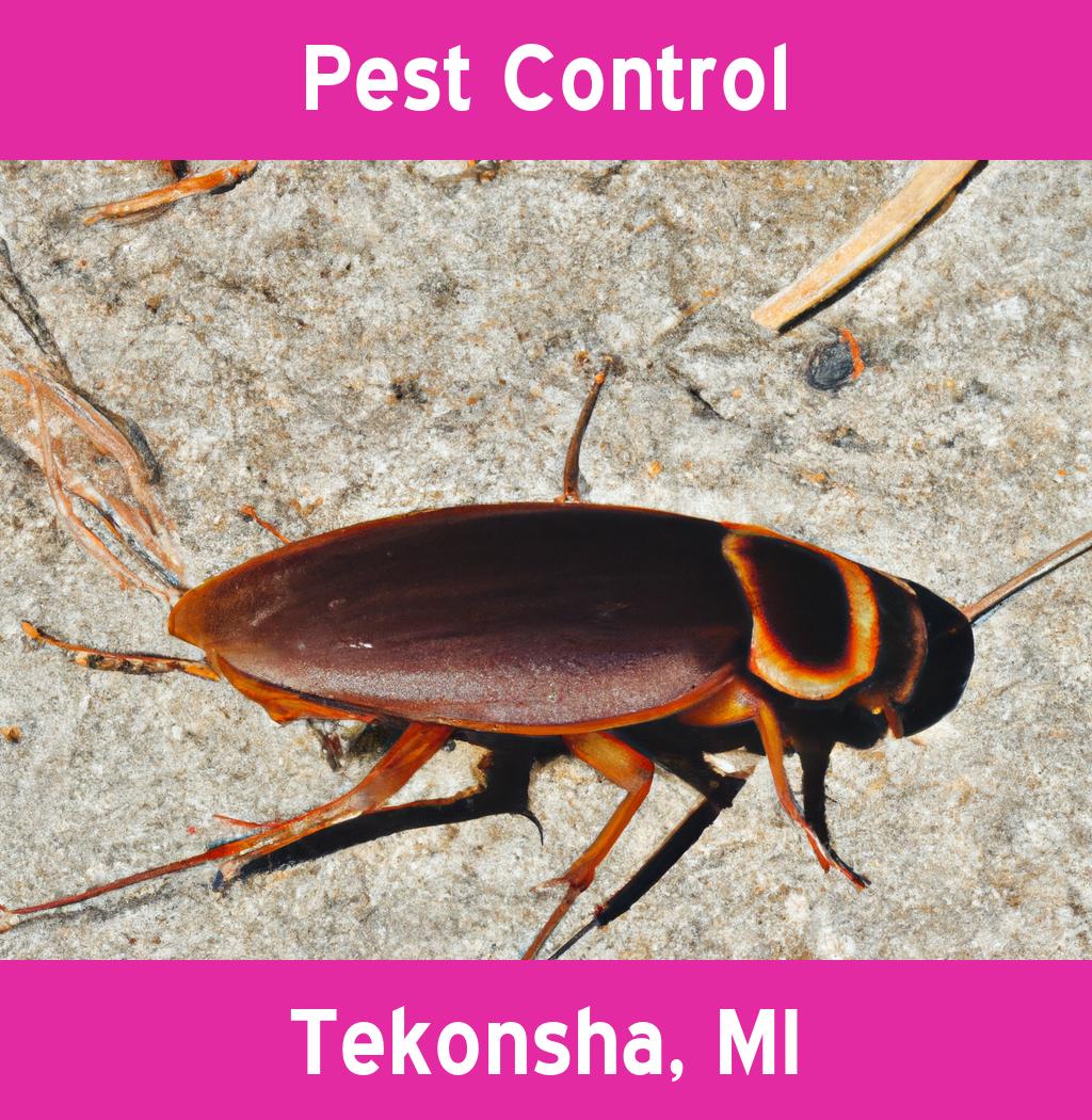 pest control in Tekonsha Michigan
