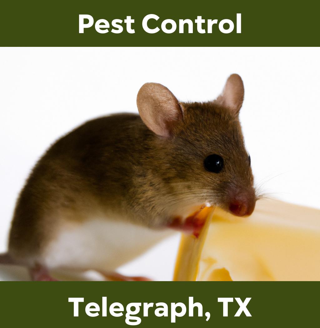 pest control in Telegraph Texas