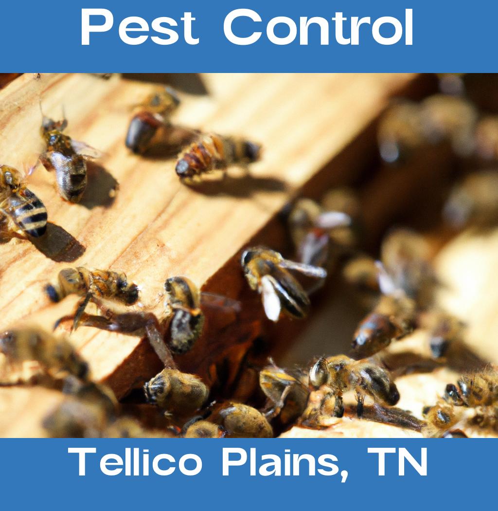 pest control in Tellico Plains Tennessee