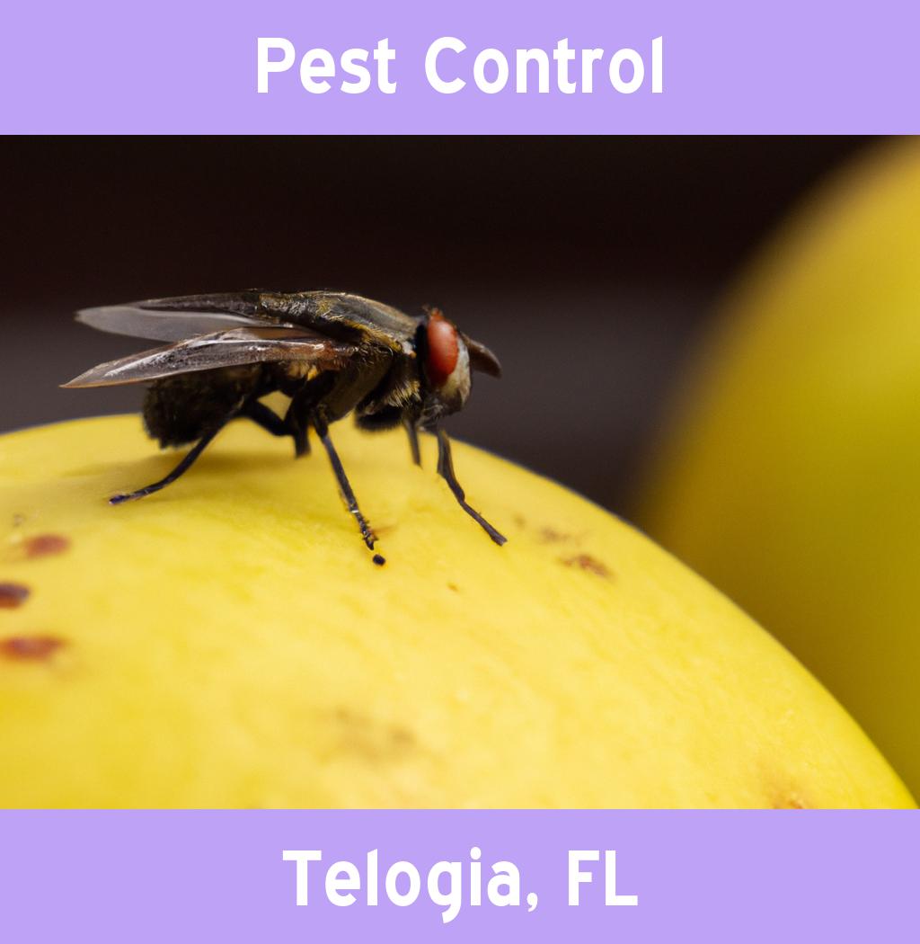 pest control in Telogia Florida