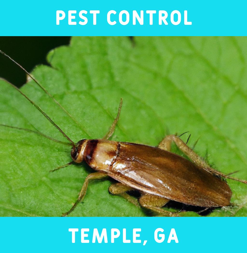 pest control in Temple Georgia