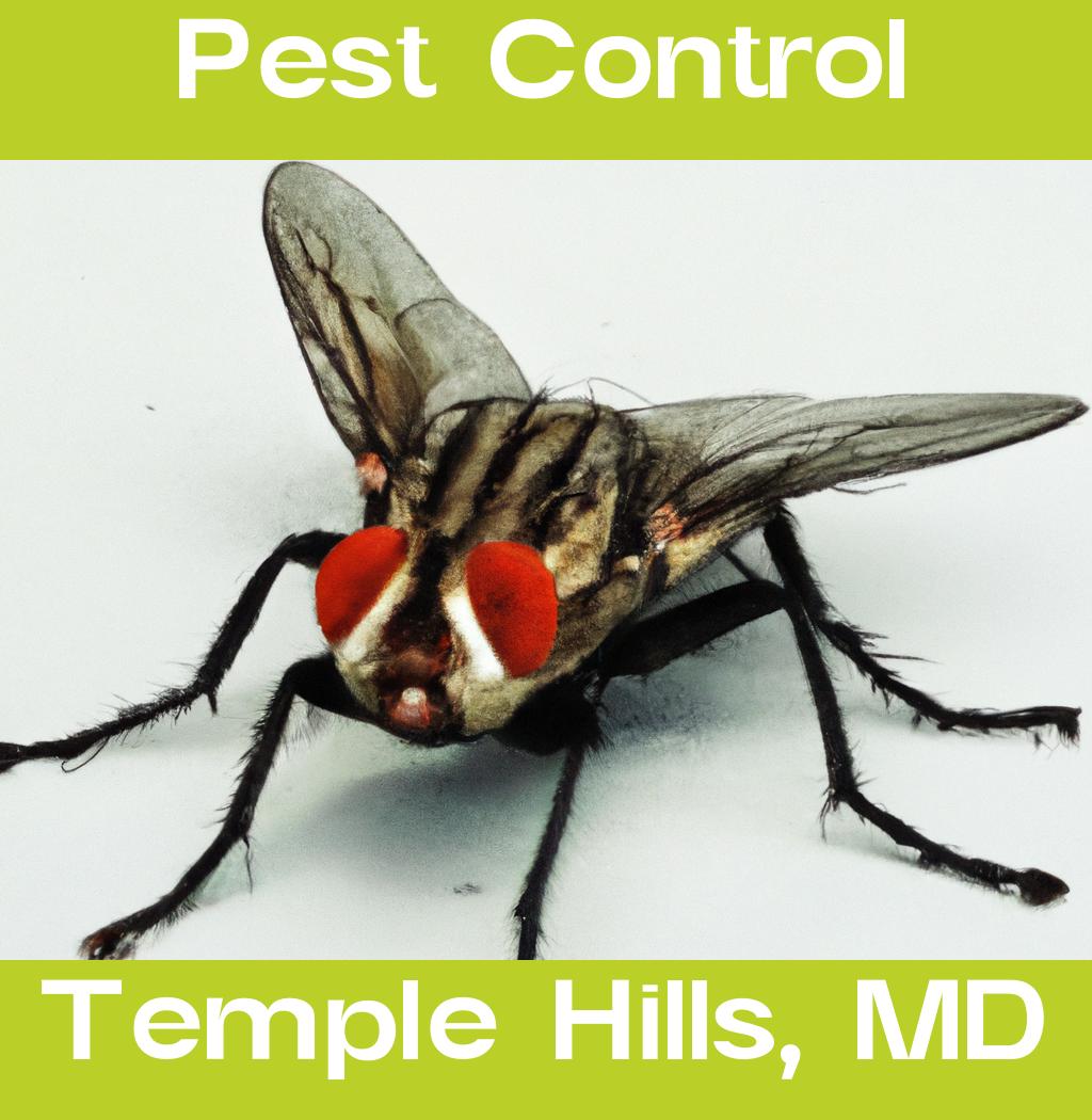 pest control in Temple Hills Maryland