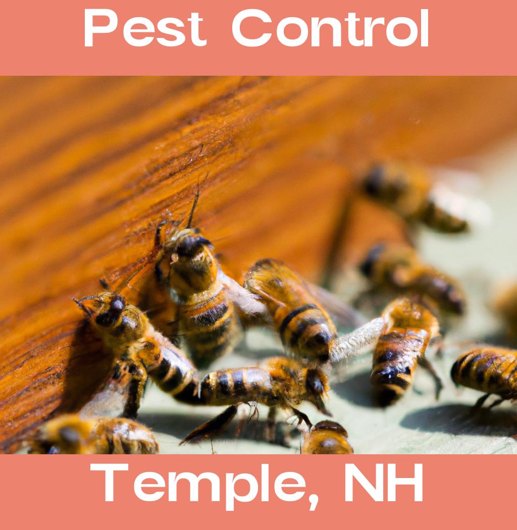 pest control in Temple New Hampshire