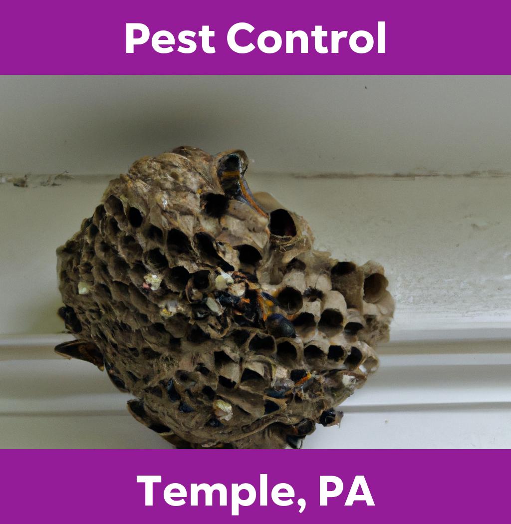 pest control in Temple Pennsylvania
