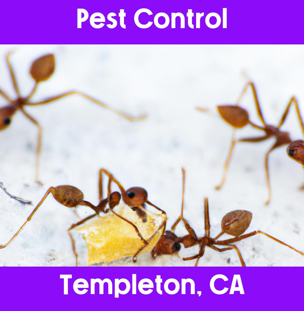 pest control in Templeton California