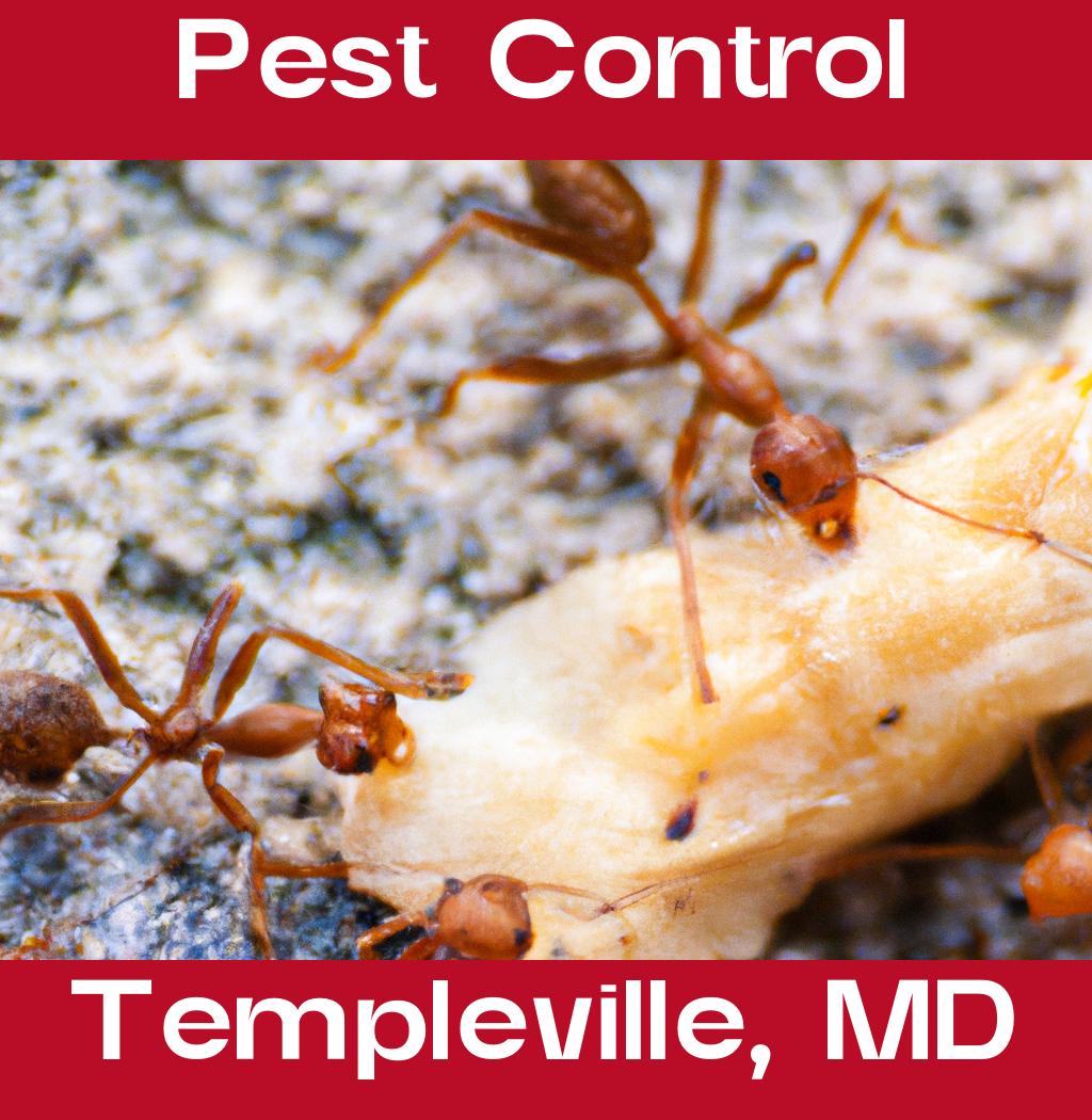 pest control in Templeville Maryland