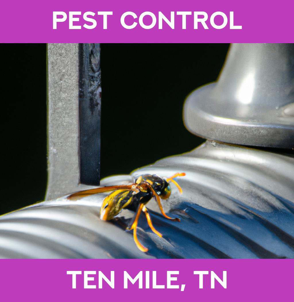 pest control in Ten Mile Tennessee