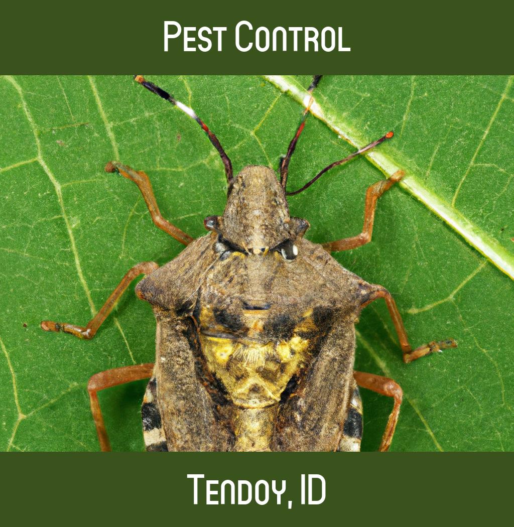 pest control in Tendoy Idaho