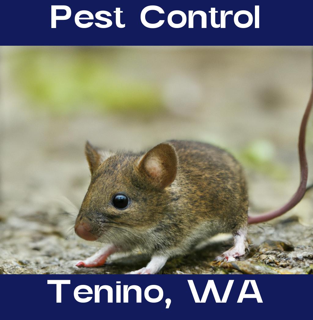 pest control in Tenino Washington