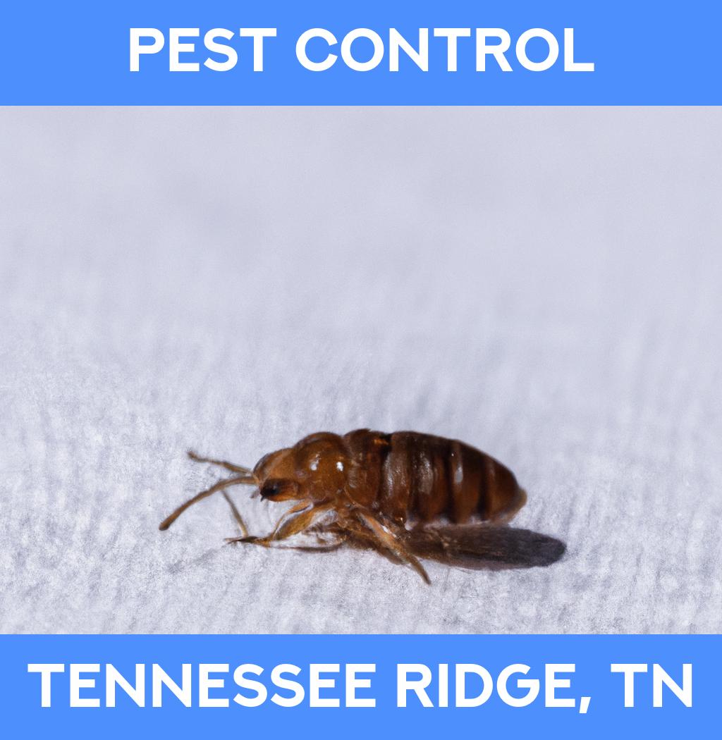 pest control in Tennessee Ridge Tennessee