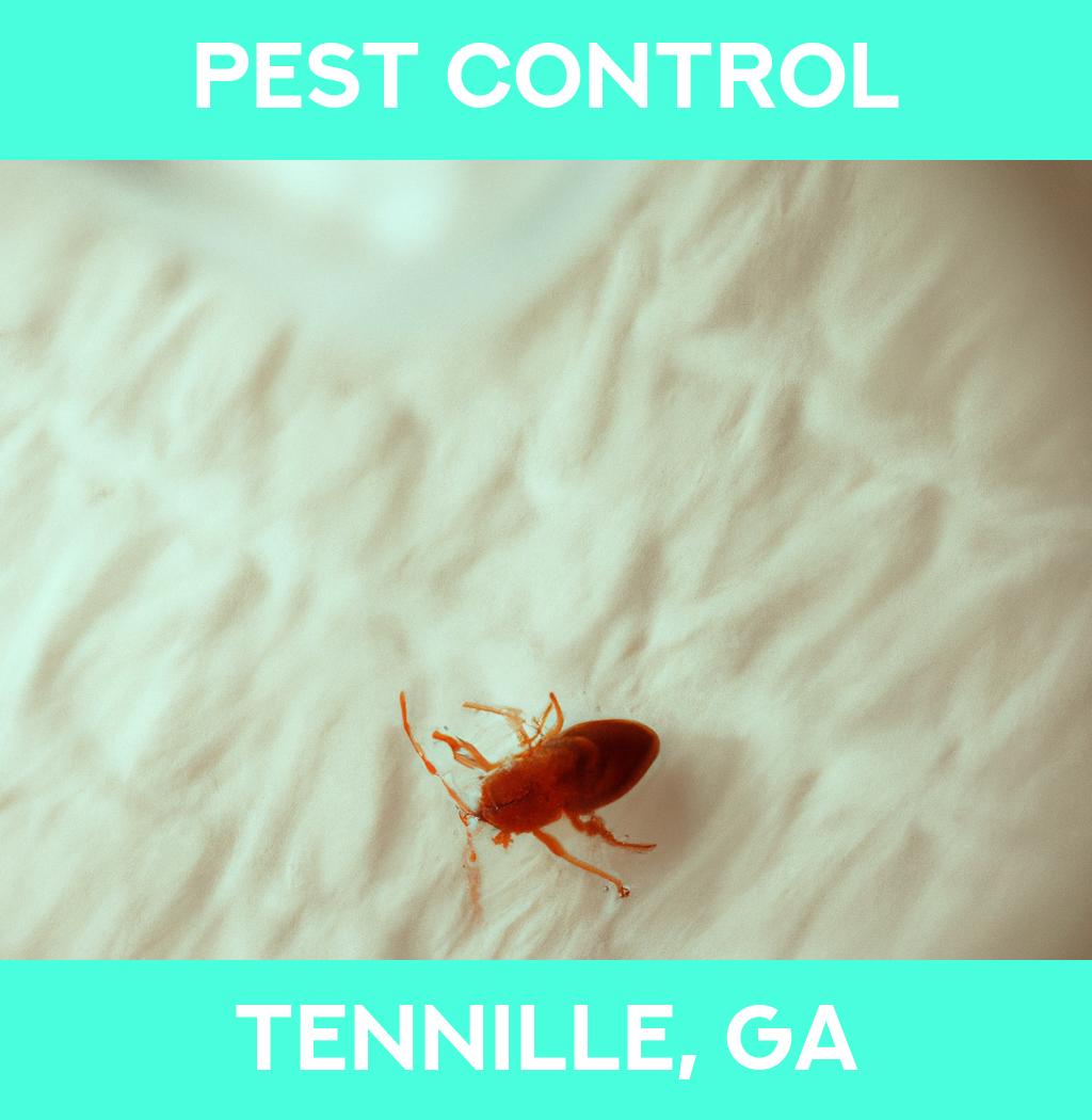 pest control in Tennille Georgia