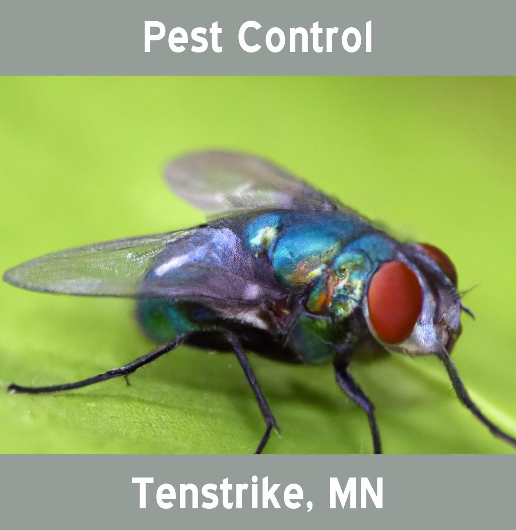 pest control in Tenstrike Minnesota