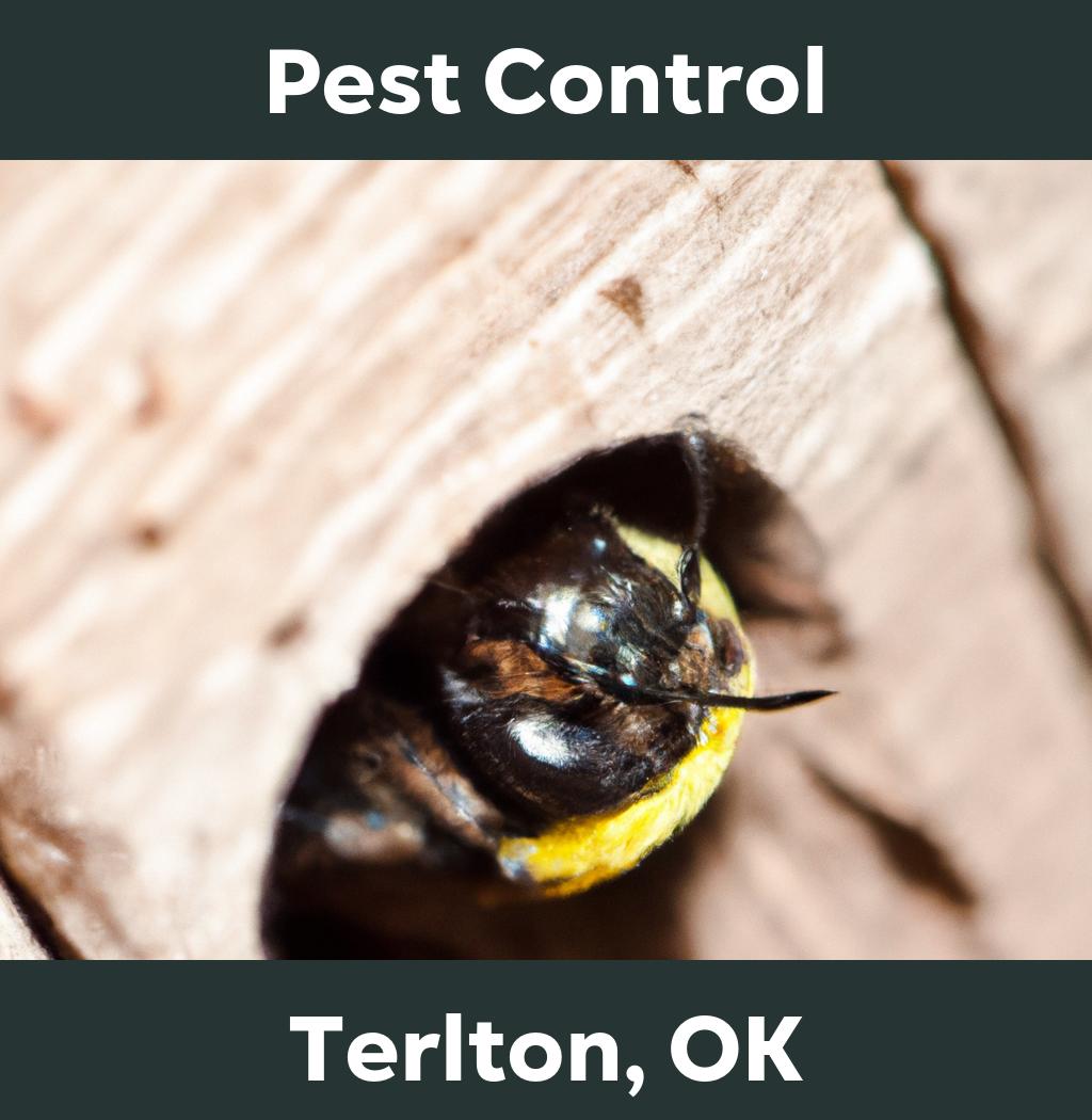 pest control in Terlton Oklahoma