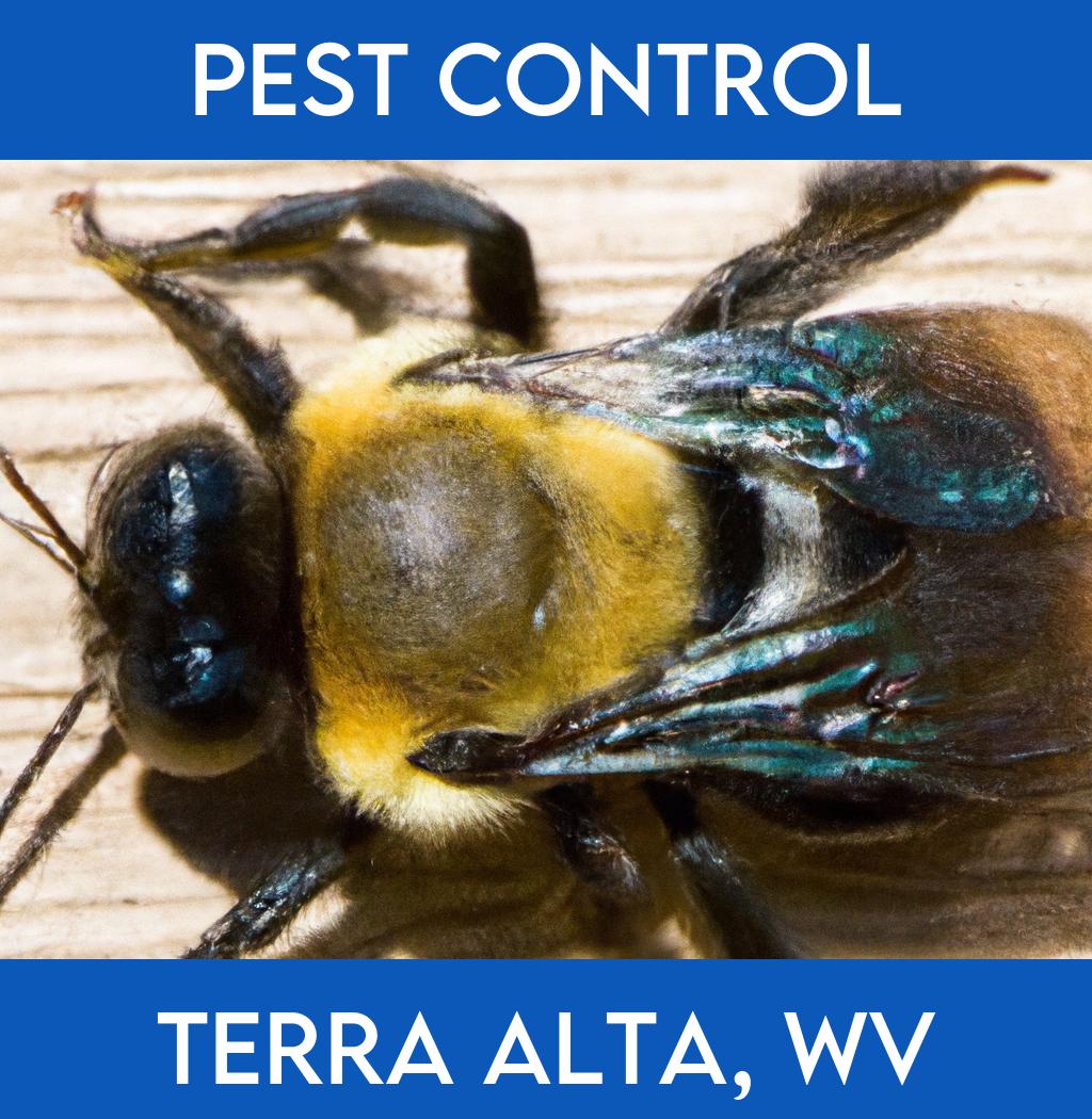 pest control in Terra Alta West Virginia