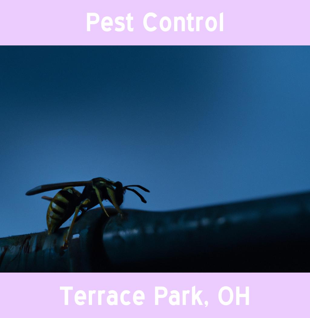 pest control in Terrace Park Ohio