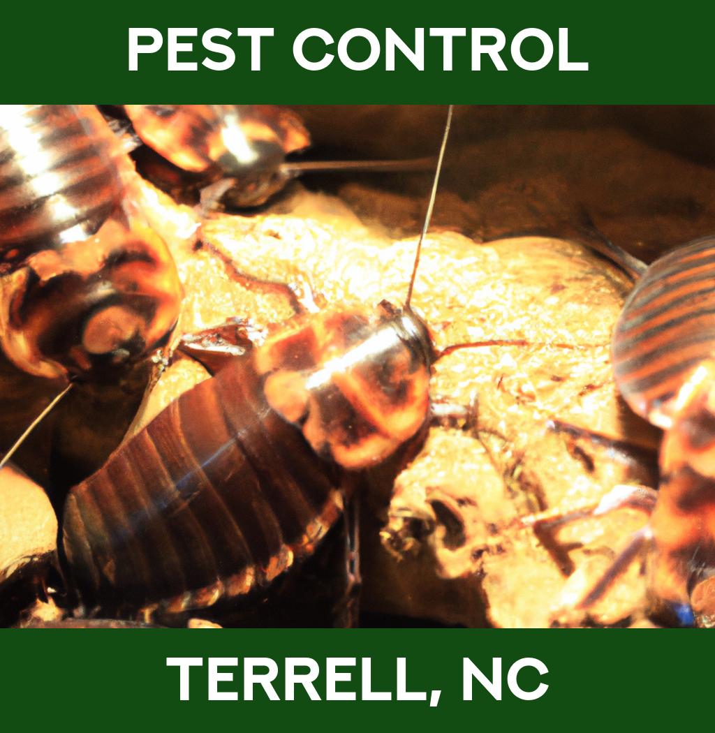 pest control in Terrell North Carolina