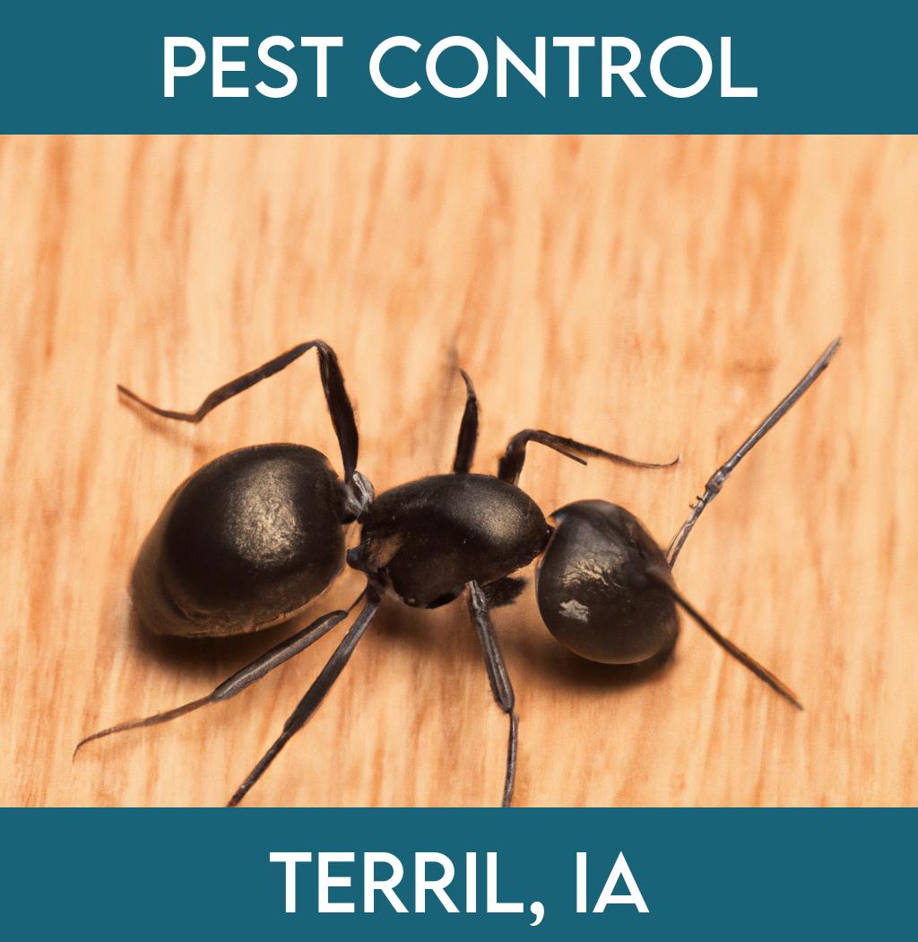 pest control in Terril Iowa