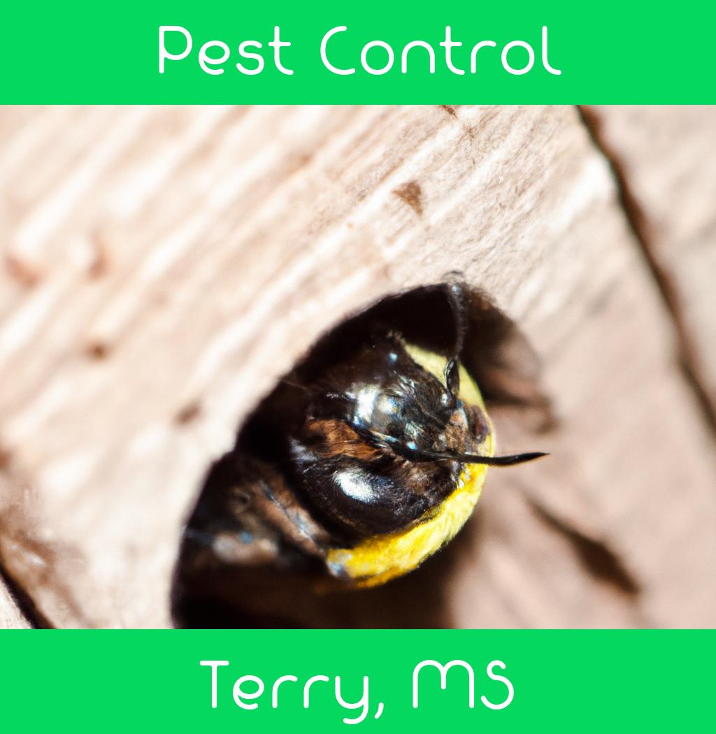 pest control in Terry Mississippi