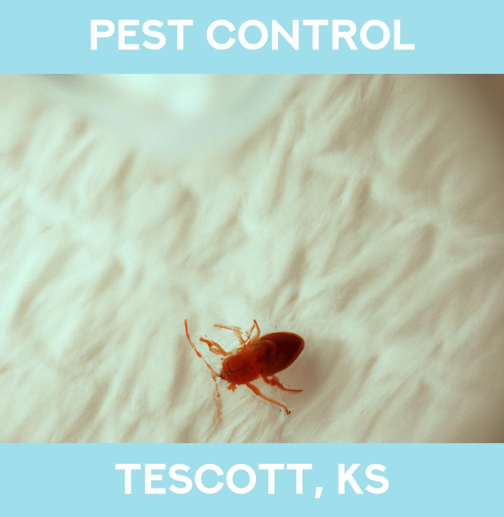 pest control in Tescott Kansas
