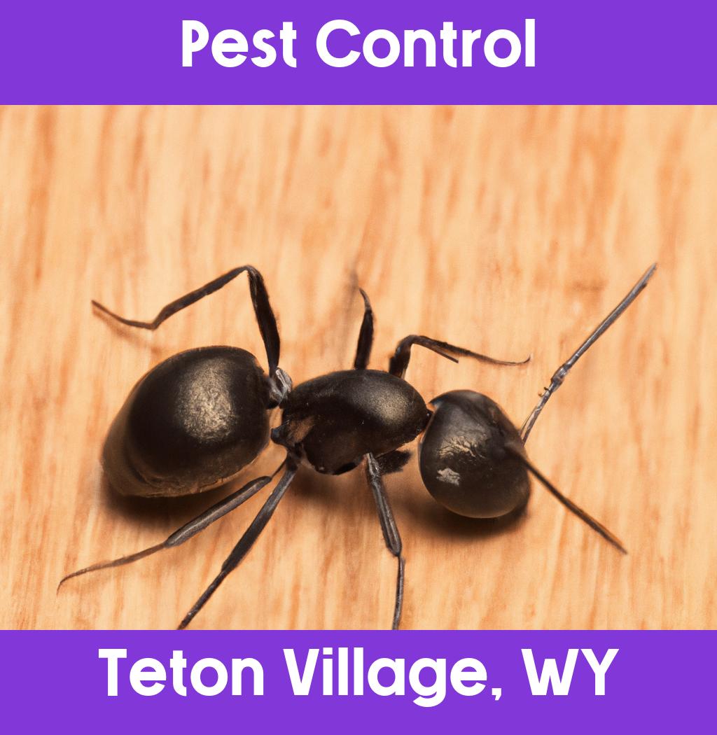 pest control in Teton Village Wyoming