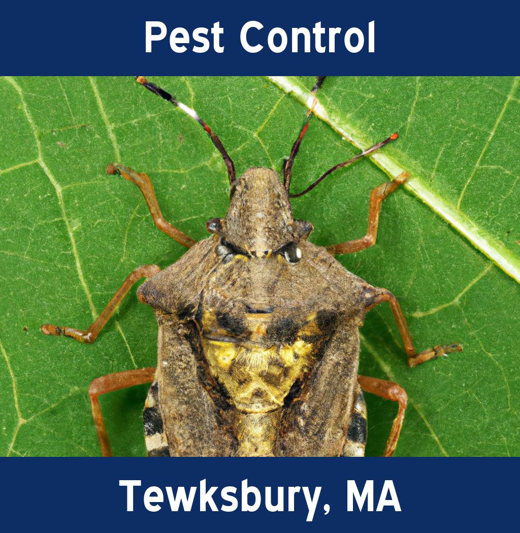 pest control in Tewksbury Massachusetts