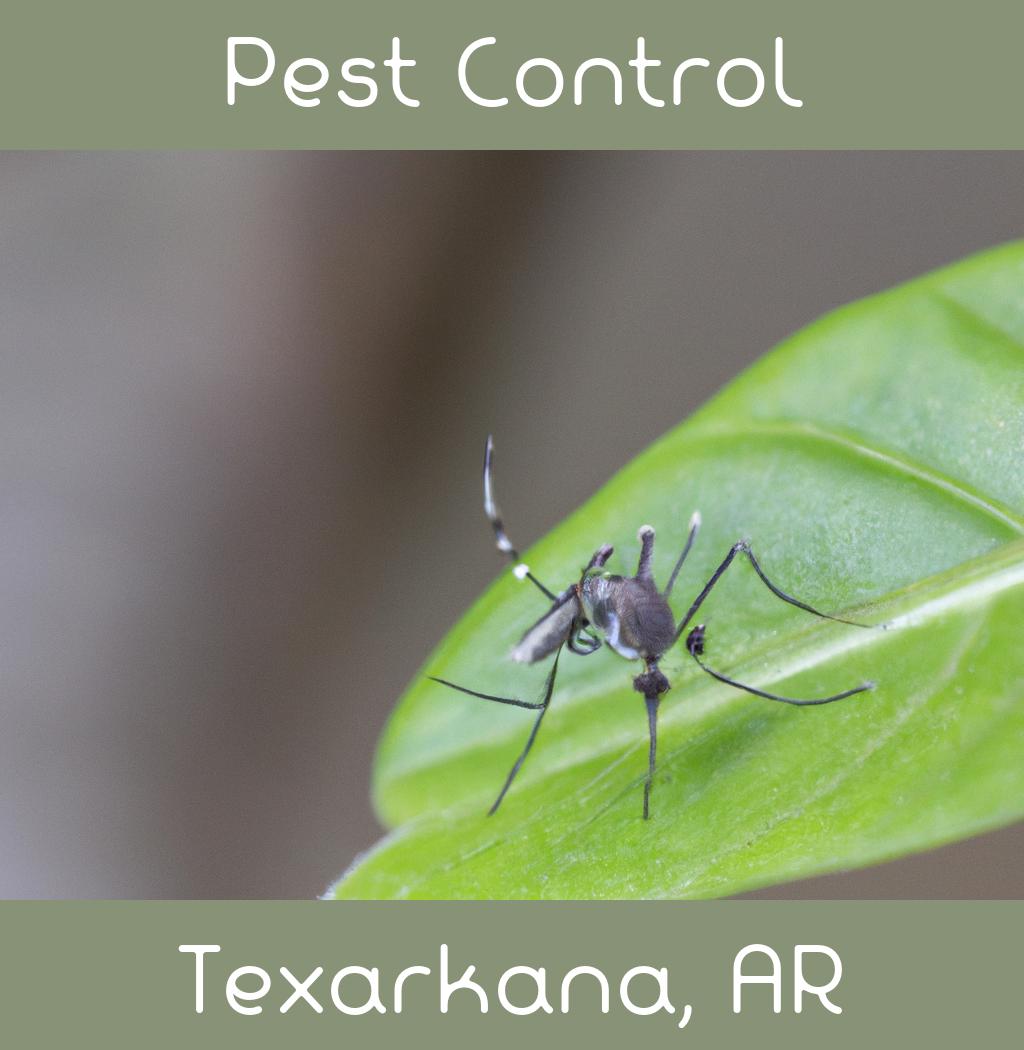 pest control in Texarkana Arkansas