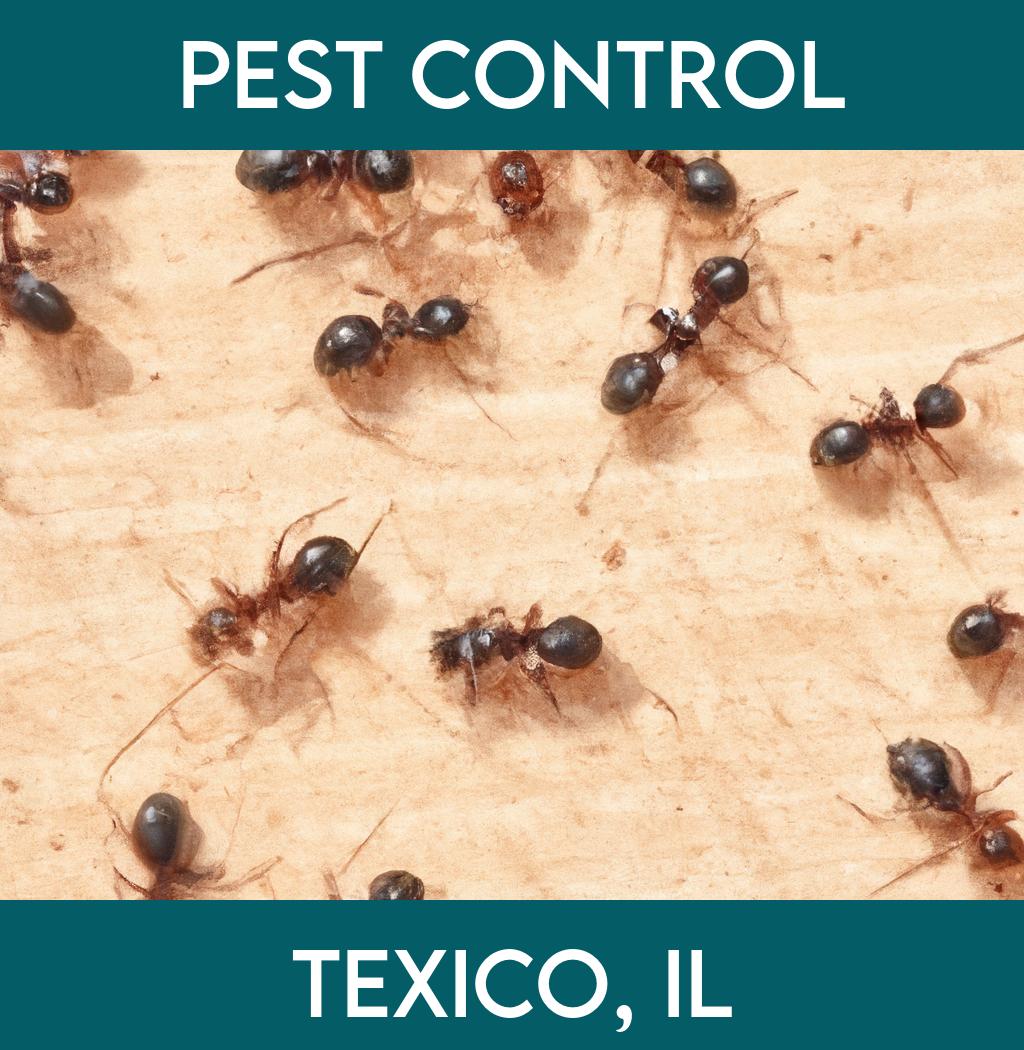 pest control in Texico Illinois