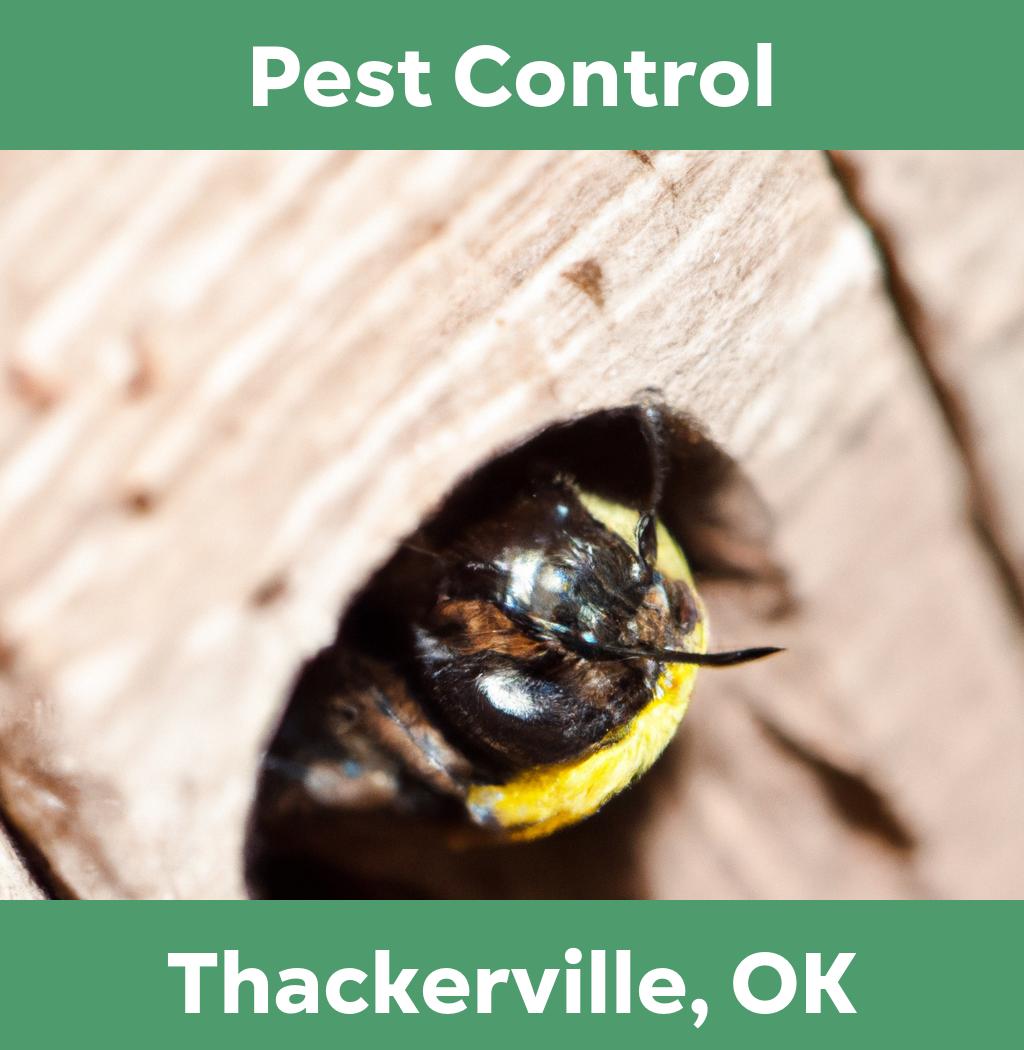 pest control in Thackerville Oklahoma