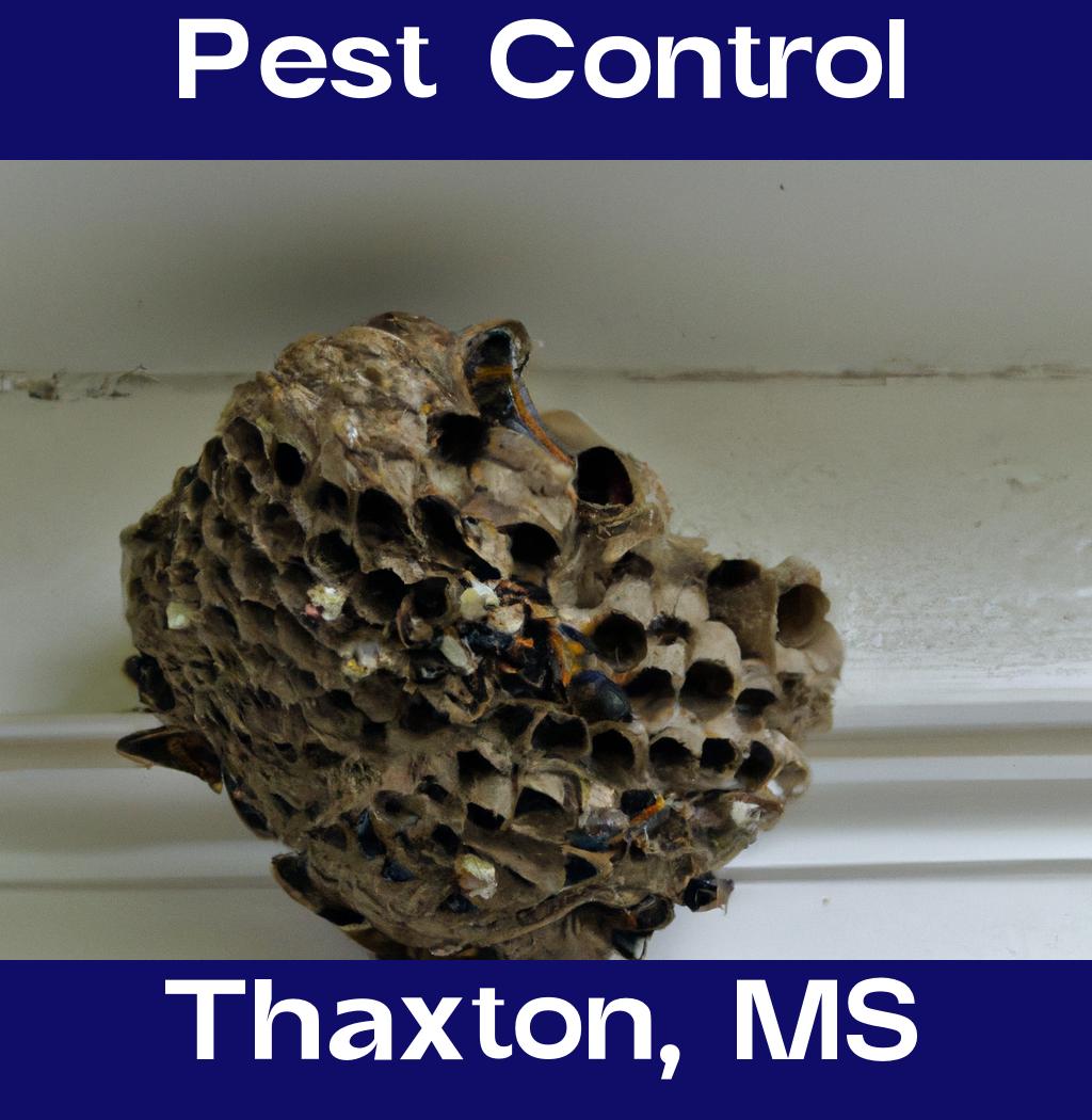 pest control in Thaxton Mississippi