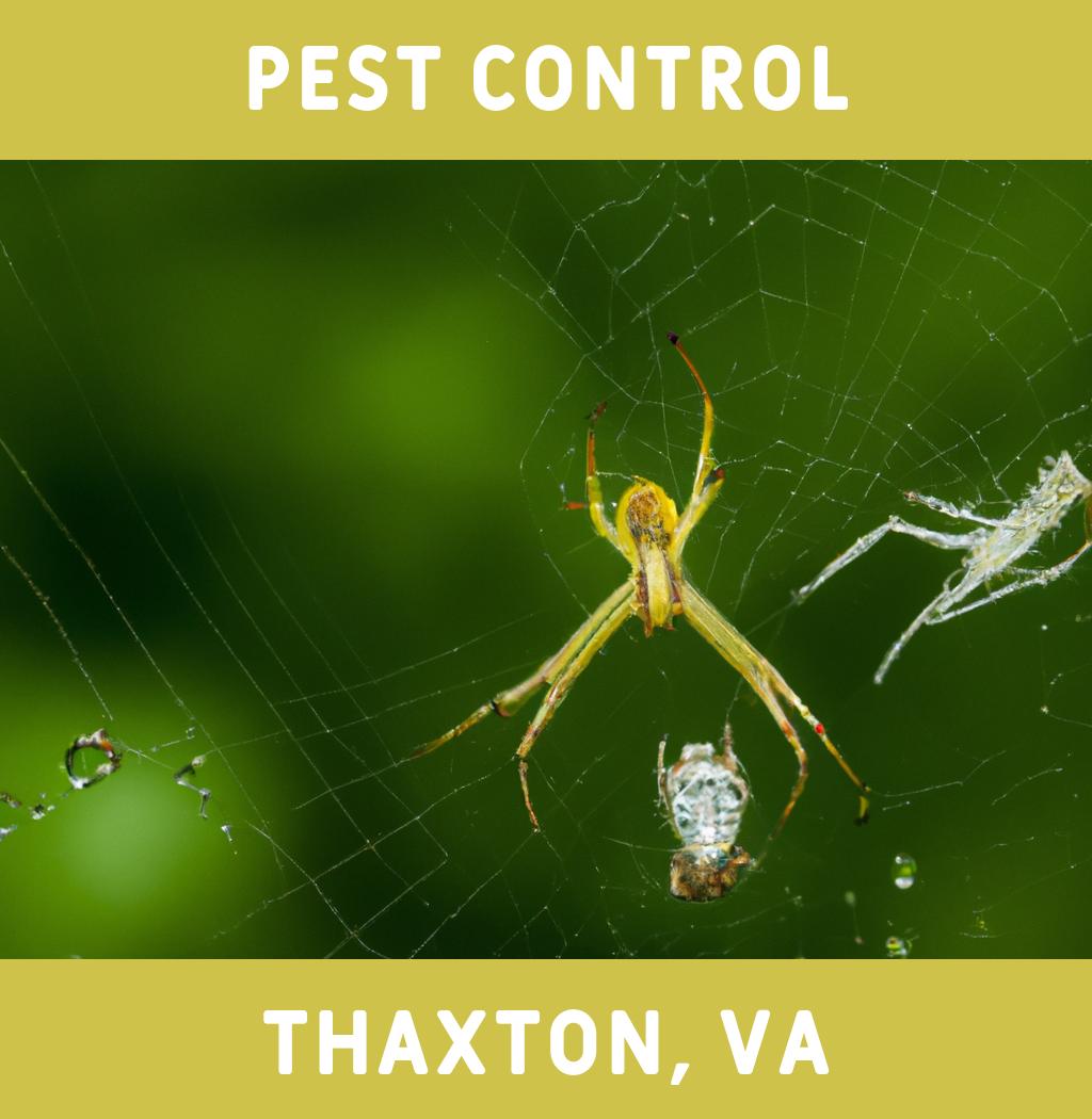 pest control in Thaxton Virginia