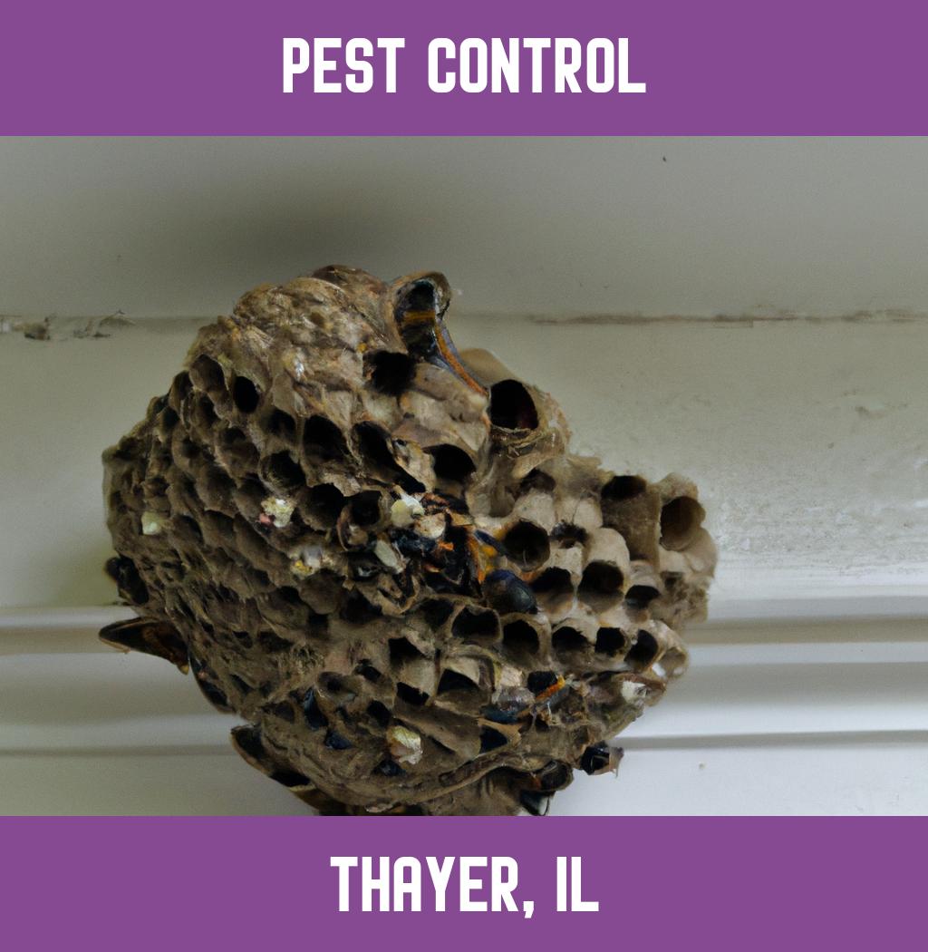 pest control in Thayer Illinois