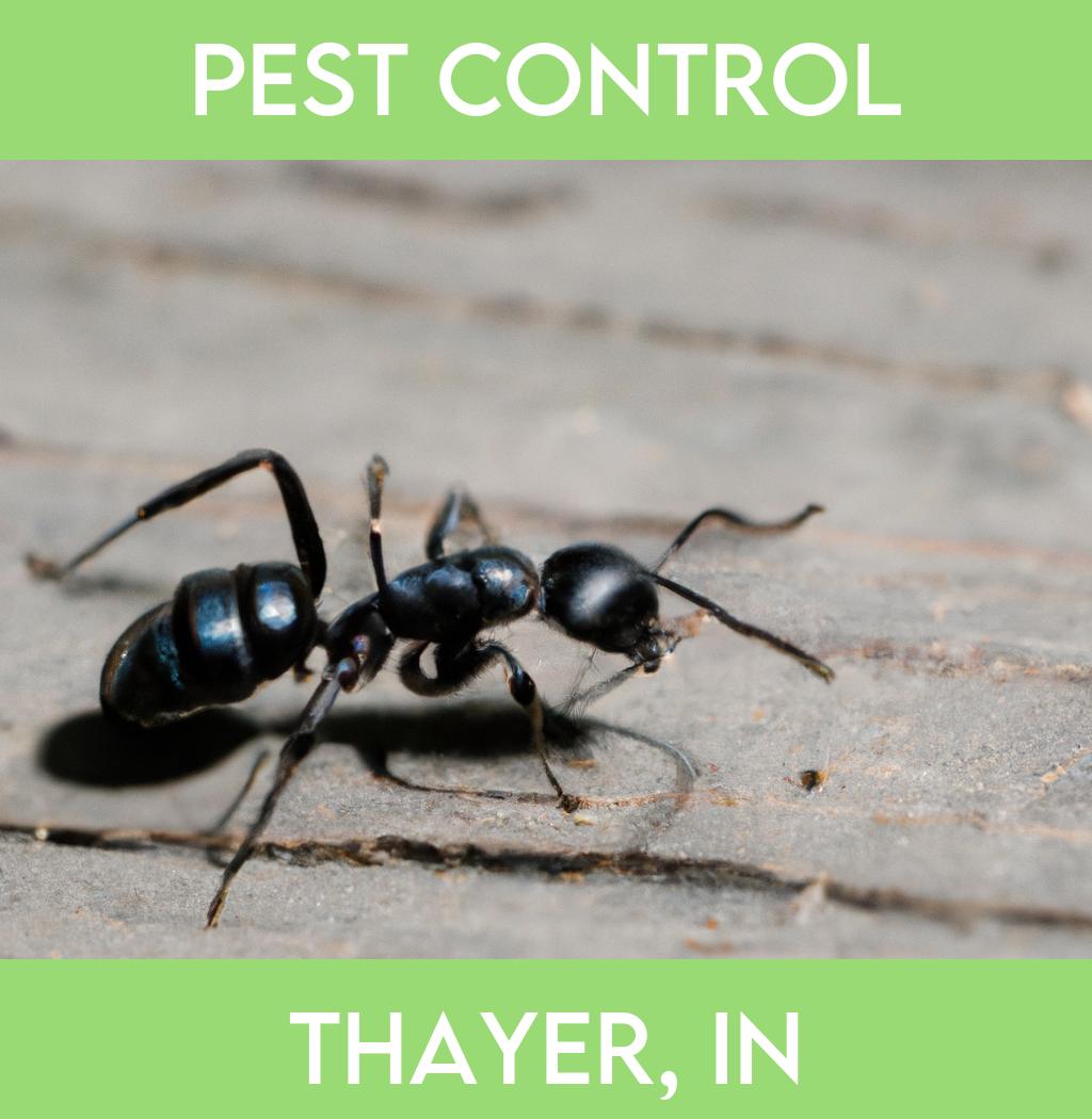 pest control in Thayer Indiana